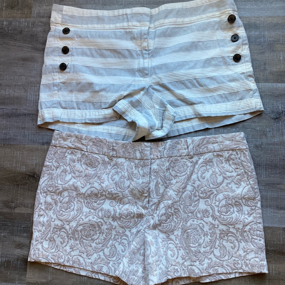 Loft Size 16 Shorts Bundle